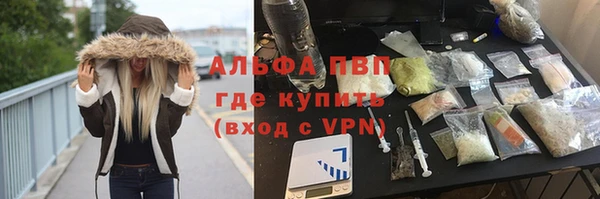 тгк Гусев