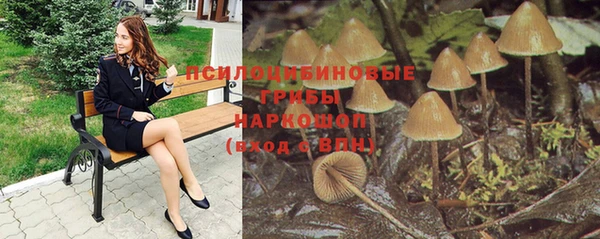 мдпв Дмитровск