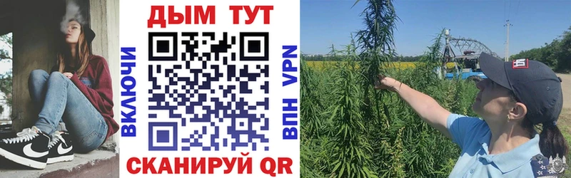 Шишки марихуана VHQ  Купить где  Кимры 
